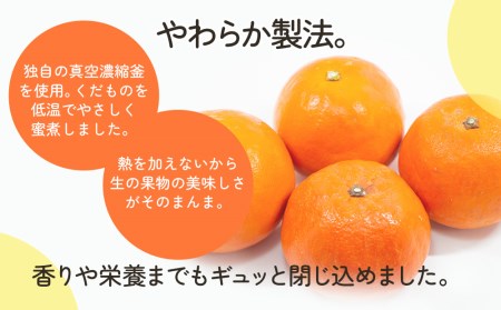 サンクイーンドライフルーツ(24g)×20袋【tsu0001028】