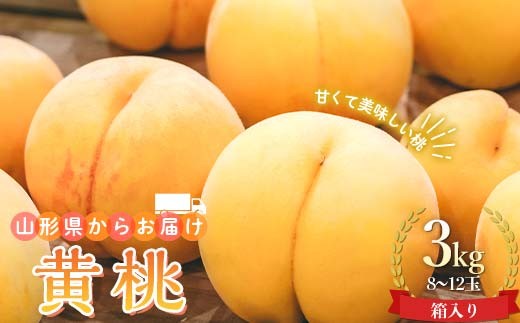 山形県産 黄桃 お任せ3kg8～12玉箱入り もも モモ 桃 デザート フルーツ 果物 くだもの 果実 食品 山形県 FSY-0742