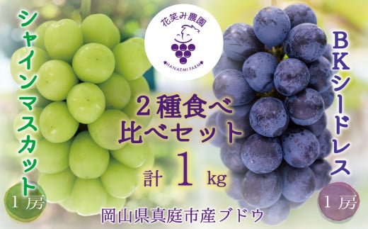 hana47.岡山　花笑み農園『シャインマスカット&BKシードレス』1kg(2房)