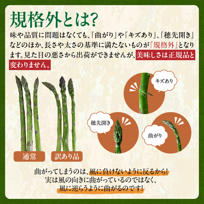 【2025年発送先行予約！】訳ありアスパラガス 2kg！ _S021-0013