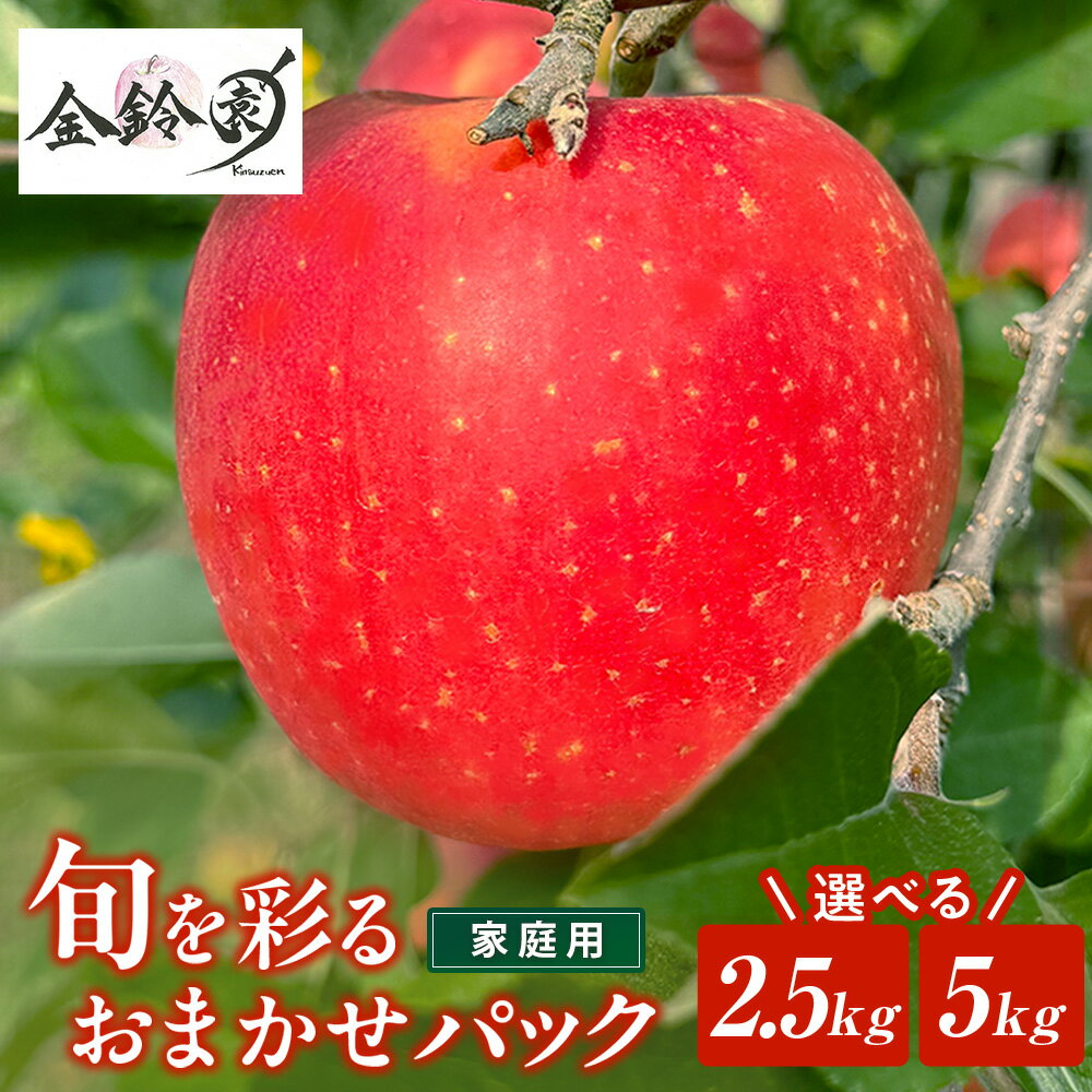 【ふるさと納税】 ＼ 順次発送 りんご ／旬を彩るおまかせパック 【 家庭用 】 2.5kg〜5キロ 林檎 リンゴ 国産 東北 岩手 産地直送 送料無料 訳あり フルーツ 果物 岩手県 北上市 金鈴園 ふるさと納税 限定 季節限定 秋 冬