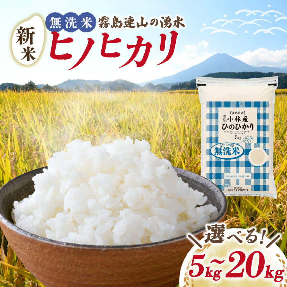 【ふるさと納税】【選べる内容量】【先行予約】新米 無洗米ヒノヒカリ 5kg~20kg（国産 米 新米 無洗米 お米 令和7年産 精米 お米 予約 限定）