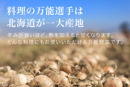 【令和7年産予約受付！】玉ねぎ 10kg 美瑛選果 美瑛町産  |  玉ねぎ 玉ねぎ 玉ねぎ 玉ねぎ 玉ねぎ [009-29]