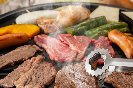 AJ567 【12回定期便】長崎和牛 もも 焼肉用 約500g   [ まるしん商会 長崎県 島原市 ]