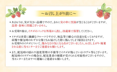【先行予約】1月より順次発送！「博多あまおう」EX　贈答用化粧箱　約450g 2箱【ほたるの里】_HA0753