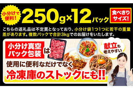 牛肉 肉 黒毛和牛 切り落とし 訳あり 大容量 小分け 3kg 250g × 12《60日以内に出荷予定(土日祝除く)》岡山県産 岡山県 笠岡市 お肉 にく カレー 牛丼 切り落し 切落し