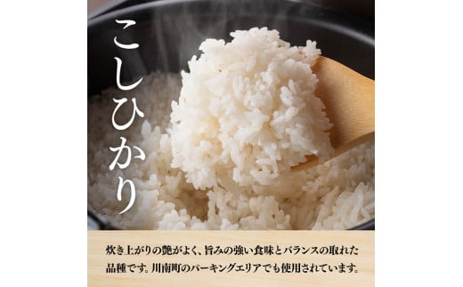 【令和7年産】永友農園産「こしひかり」5kg 【 米 お米 白米 精米 国産 宮崎県産 コシヒカリ 】[C10602]
