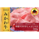 【ふるさと納税】【みかわ牛】和牛特選すきやき・しゃぶしゃぶ500g