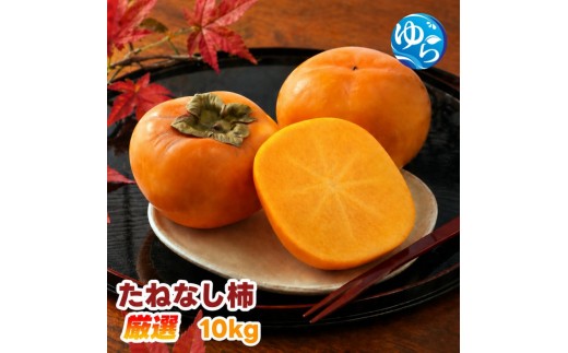 
                  【ふるさと納税】 たねなし柿 10kg 厳選 / 柿 刀根早生 平核無柿 富有柿 ※2026年9月下旬から11月上旬に順次発送 ※北海道・沖縄・離島への配送不可  【ikd504-p-10】
                