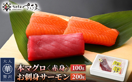 お刺身 セット サーモン 100g × 2P ＆ 本まぐろ 赤身 100g × 1P 【福井県 冷凍 小分け 刺身 アトランティックサーモン 鮭 サケ さけ マグロ 鮪】 [e04-a088]