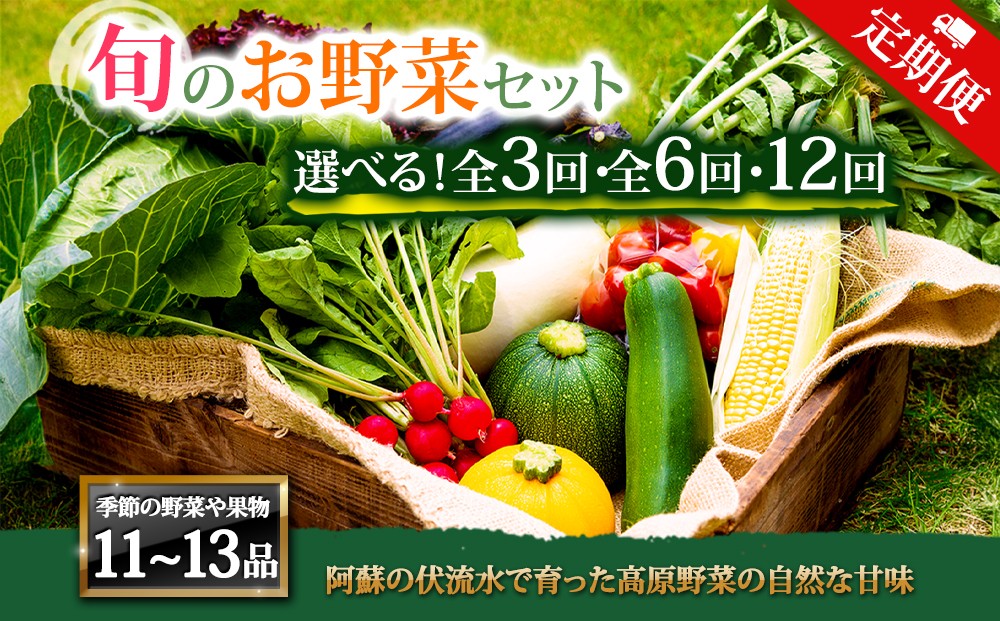 
                  【選べる回数】【定期便】＜畑から直送＞季節のお野菜セット XLサイズ11～13品をお届け♪ 3回 6回 12回　定期便 野菜 新鮮 野菜セット 定期便 農家直送 産地直送 野菜 厳選 こだわり 朝採れ 採れたて フレッシュ サラダ 高原野菜 フルーツ 甘い 野菜 詰め合わせ おまかせ 大地の恵み 贈り物 ギフト 便利 野菜 家族 主婦 料理 お弁当 人気 おすすめ お取り寄せ 野菜 熊本県 阿蘇市
                