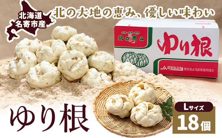 令和7年度産 北海道名寄産 ゆり根 Lサイズ18個入り 《2025年10月下旬～11月中旬頃出荷》