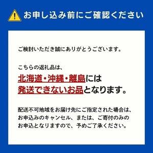 ＜2026年発送分 先行予約＞ピオーネ 1.2kg以上（2?3房）025-a022