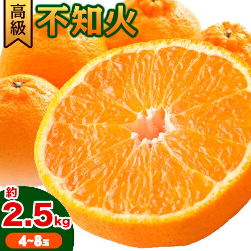 【ふるさと納税】【先行予約】高級 不知火 ( デコポン と同品種) 約2.5kg 箱手詰め満杯 4~8玉 主井農園《2月中旬-3月上旬頃出荷》 和歌山県 日高町 みかん しらぬい 高級不知火 デコポン デコ でこぽん 柑橘 高級 送料無料