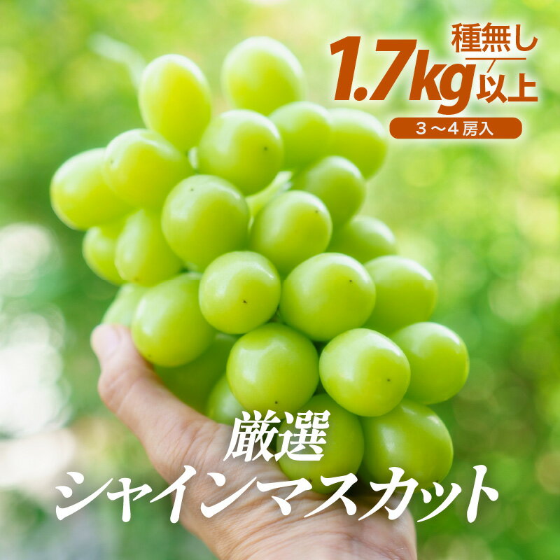 【ふるさと納税】【先行予約】厳選シャインマスカット 1.7kg以上（3~4房）【種なし】フルーツパークOKAYU