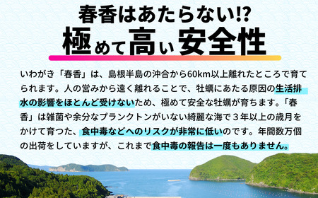 先行予約受付：【2026年 3月以降順次お届け】【生のいわがき春香 Sサイズ6個】 岩牡蠣 生牡蠣 牡蠣 いわがき春香 生食可 旬の時期だけ