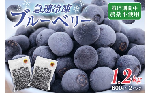 【2026年7月より順次発送】栽培期間中農薬不使用！急速冷凍ブルーベリー 1.2kg 【JAほたるの里】_HA1517 | 無農薬 ブルーベリー 果物 フルーツ