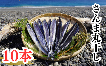 干物 さんま丸干し 10本 干物【uosk0015】