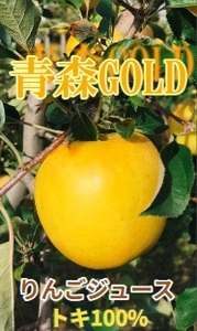 りんごジュース　1L×2本 トキ100%ストレート【青森GOLD】五所川原市