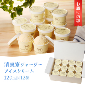 清泉寮ジャージーアイスクリーム　120ml×12個　アイスクリーム アイス ジャージーアイス 120ml 12個 プレミアム 有機ジャージー牛乳 安定剤不使用 乳化剤不使用「やまなしアニマルウェルフェ