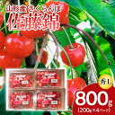 【ふるさと納税】山形産 さくらんぼ 特選 佐藤錦 L 800g(200g×4パック入) 【令和6年産先行予約】FU18-861 フルーツ くだもの 果物 お取り寄せ 先行予約