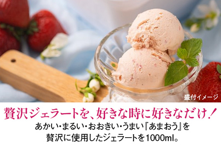 福岡産 あまおうジェラート 1000ml あまおう イチゴ いちご ジェラート スイーツ 果物 フルーツ アイス 送料無料 高級 お返し プレゼント 御見舞 お取り寄せ ストロベリー 苺
