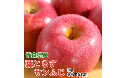 ＜26年11月～12月発送＞青森りんご平均糖度13度以上! 葉とらずサンふじ 約5kg おもてなし用【1607467】