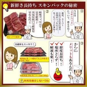 神戸牛(神戸ビーフ)焼肉セット 計1Kg SOYS5 【2026年4月より順次発送】【配送不可地域：離島】【1687009】