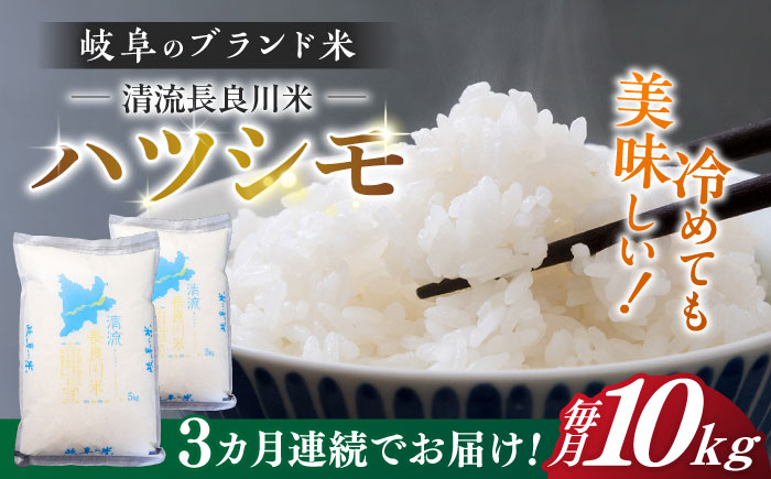 
            【3回定期便】【R7年産】岐阜 ハツシモ 10kg 名水 100選に選ばれた 長良川 中流の水で育った 「清流長良川米」 ハツシモ はしつも 長良川 清流米 すし飯  冷めても美味しい お米 米 こめ 白米 10kg 10キロ 定期便 岐阜市 / 森ライス [ANCU008]
          