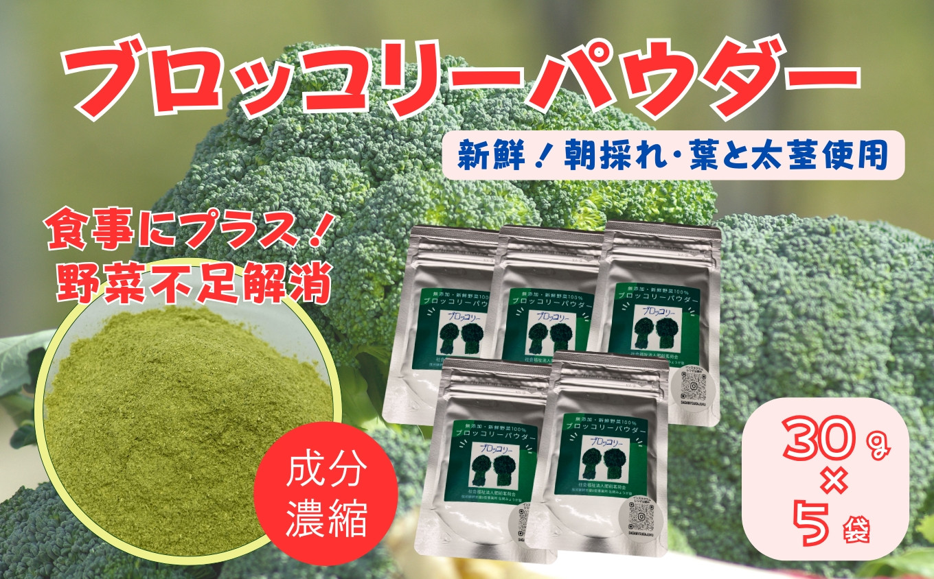 
                  ブロッコリーパウダー（30g×5袋） / 佐賀県 /社会福祉法人肥前茗荷会  [41AHAG001]
                