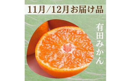 柑橘 定期便 SS【全3回】家庭用【 和歌山県 有田 】 ※北海道・沖縄・離島への配送不可 / 定期便 フルーツ ゆら早生みかん 有田みかん 3回