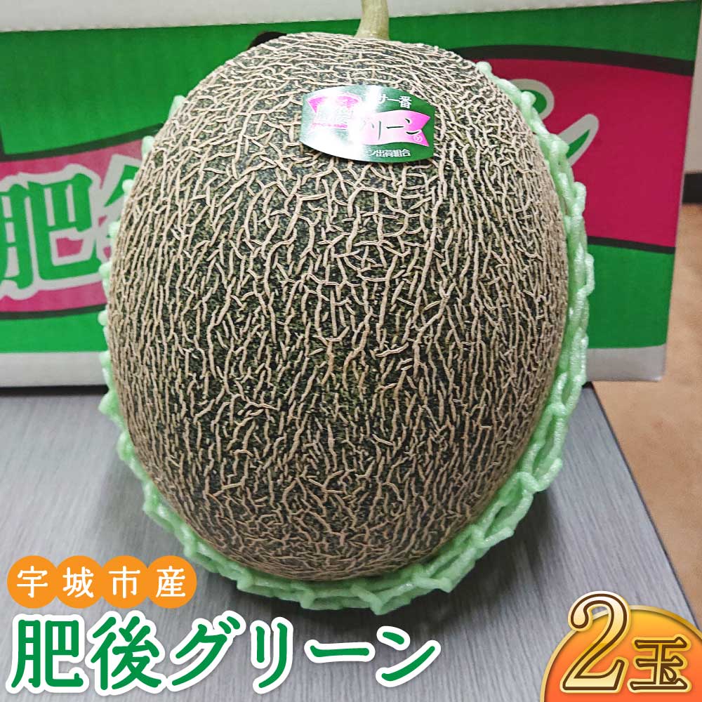【ふるさと納税】 メロン 肥後グリーン 2玉 ※1玉当たり 1.3kg〜2kg メロン 2個 冷蔵 熊本県産 国産 送料無料 フレッシュダイレクト 【2026年5月中旬〜7月下旬頃発送予定】