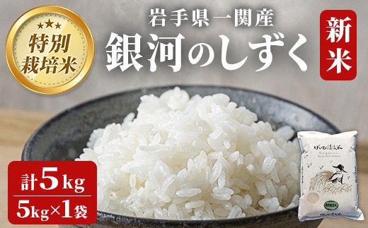 【 令和7年産 新米 】特別栽培 銀河のしずく 5kg  お米 いわて コメ 精米 ブランド米 米 ご飯 白飯 ごはん お弁当 おにぎり 岩手県 一関市