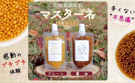 調味料 マスターネ プレーン しょう油 2本セット100g×各1 調味料