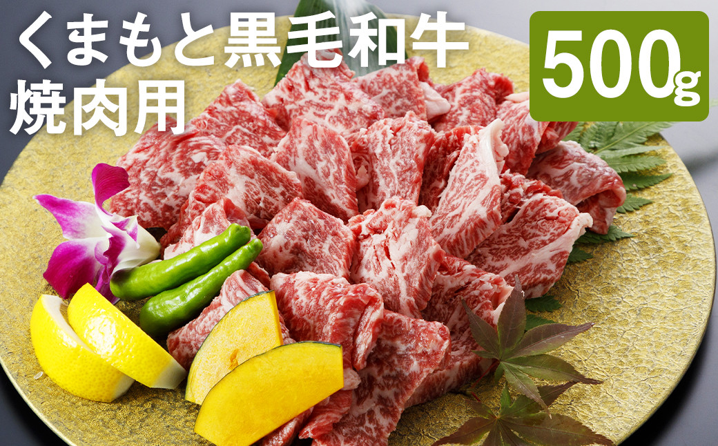 
くまもと黒毛和牛 焼肉用 500g
