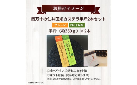 四万十の米粉カステラ【龍馬の太鼓判】プレーン＆四万十の緑茶半斤2本セット／Bmu-C38