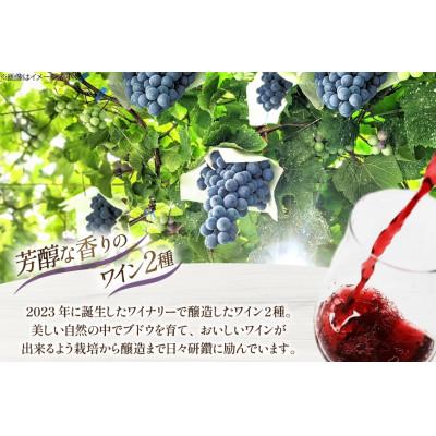 ふるさと納税 韮崎市 【数量限定】シャインマスカット醸しワイン 樽熟成赤ワインセット 750ml×2本 |  | 01