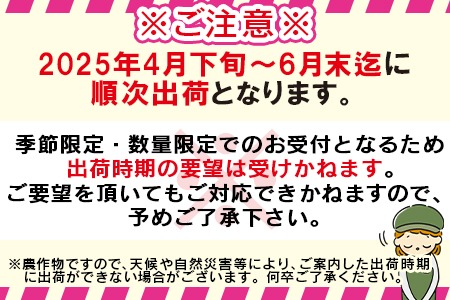 予約受付！数量限定＜宮崎県産 完熟マンゴー B等級 3Lサイズ×2玉（合計約900g）＞2025年4月下旬～6月末迄に順次出荷【 果物 フルーツ くだもの 甘い トロピカル ギフト プレゼント 贈り物 贈答用 デザート 季節限定 旬 産地直送 】【b0258_ja】