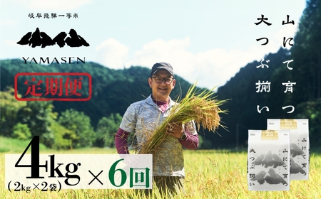 令和6年産米【定期便】山仙（いのちの壱）2kg×2袋（4kg）×6回 すがたらいす 令和6年 ブランド米 いのちのいち 下呂市金山産 2024年産 毎月 4キロ×6カ月 お米 精米 下呂温泉 下呂市 米【51-J】