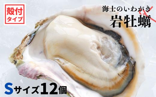 
【のし付き いわがき 殻付きSサイズ 12個】岩牡蠣 生食可 冷凍 牡蛎 牡蠣 かき カキ 岩牡蠣 いわがき 冷凍 父の日 母の日 バーベキュー ギフト
