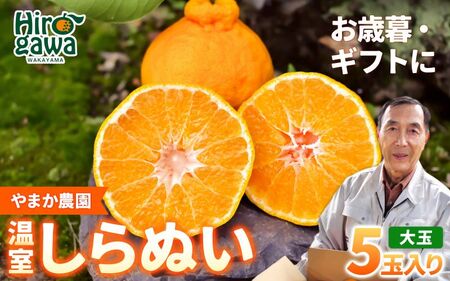  温室 不知火 （ しらぬい ） 5玉入 / デコポン ハウス栽培 甘い 和歌山 柑橘 お歳暮 ※2026年11月下旬〜2026年12月下旬に順次発送 【ymk006-p-5A】