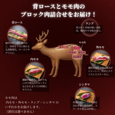 ふるさと納税 西粟倉村 森のジビエ 鹿肉ブロック おまかせ詰合せ 2kgセット |  | 01
