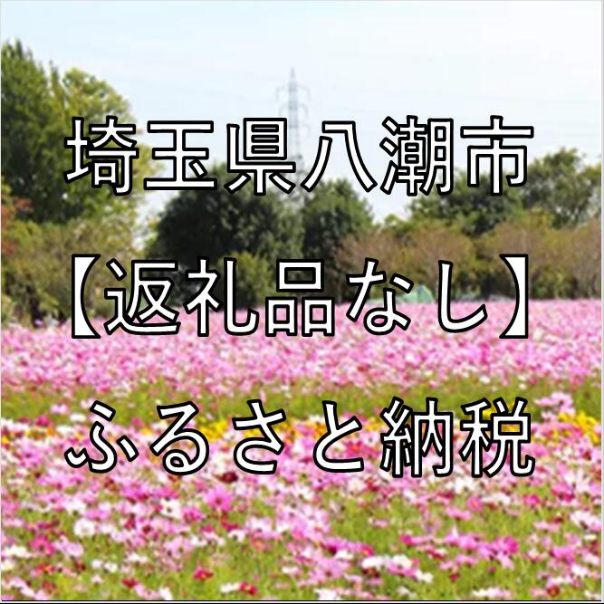【ふるさと納税】埼玉県八潮市への寄付（返礼品はありません）