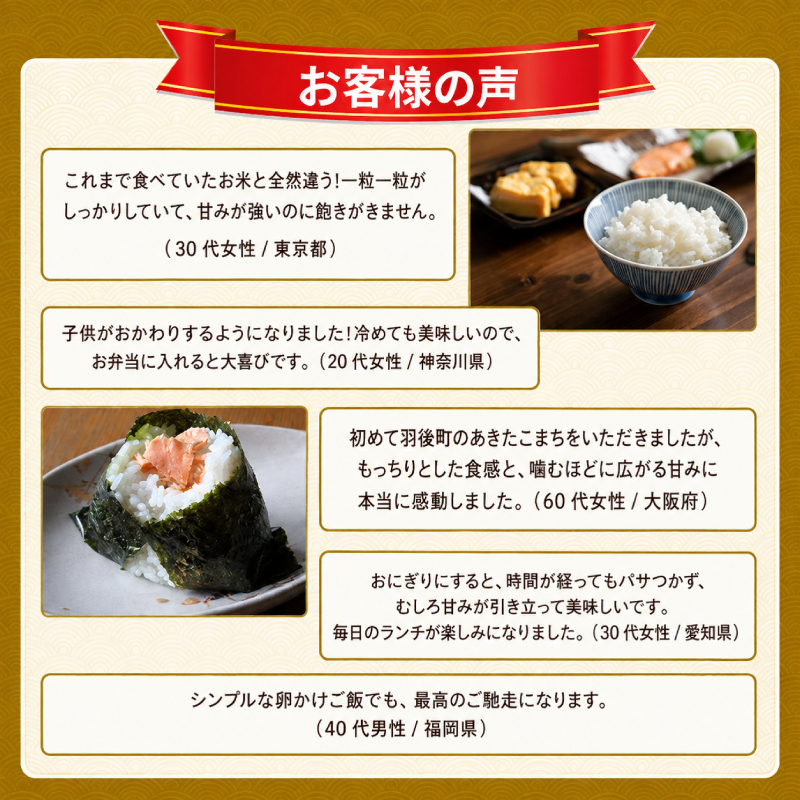 新米 先行予約［令和8年産］定期便 秋田県産 あきたこまち 10kg (5kg×2袋) 全3回 毎月お届け 羽後町産 [藤原商店]【 米 お米 白米 精米 あきたこまち アキタコマチ 定期 定期便 美