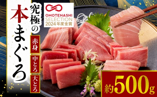 本マグロ 赤身 中トロ 大トロ 3種 セット 500g