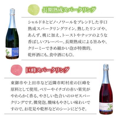 ふるさと納税 東御市 ワイン　長期熟成スパークリング & 巨峰 スパークリングワイン 2本セット 【アルカンヴィーニュ】 |  | 01