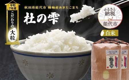 令和7年産 新米 米 お米 《定期便3ヶ月》【白米】秋田県産 あきたこまち あきた種梅産こまち 杜の雫 こだわりの大粒 18kg（9kg×2袋）×3回 合計54kg
