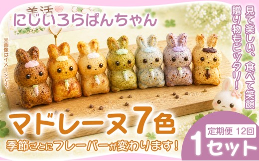 マドレーヌ 7個入 1セット×12ヶ月定期便 焼き菓子 お菓子 菓子 まどれーぬ 洋菓子 スイーツ グルテンフリー カラフルで可愛い にじいろらぱんちゃんマドレーヌ 7色 詰め合わせ 焼菓子 詰合せ かわいい おかし おやつ 映える 手土産 おしゃれ ギフト お取り寄せ プレゼント お祝い 個包装 写真映え 女性向け 子供 喜ぶ おやつ ティータイム おうちカフェ 華やか 可愛い 奈良県 奈良市