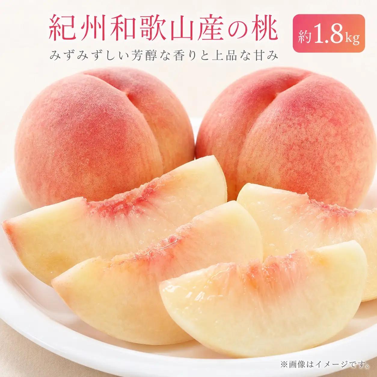 【先行予約】紀州和歌山産の桃 約1.8kg 化粧箱入 ※2027年6月下旬頃〜2027年8月上旬頃順次発送（お届け日指定不可）先行予約 桃 もも モモ フルーツ 果物 くだもの 人気 旬 和歌山【uot720-2】 