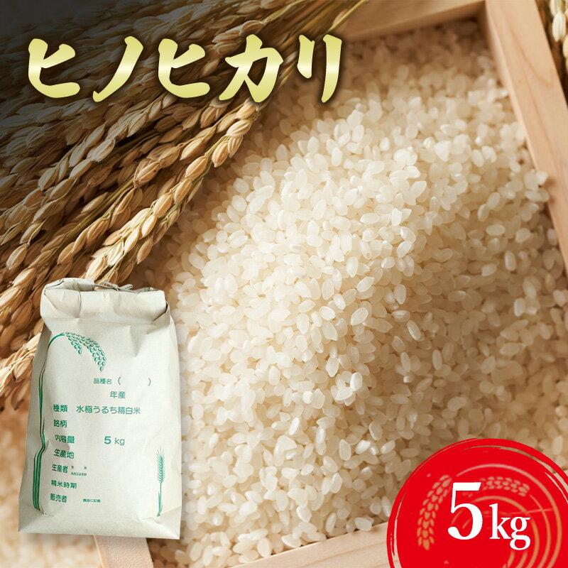 【ふるさと納税】ヒノヒカリ 5kg 米 お米 精米 白米 兵庫県 洲本市 淡路島　お届け：11月初旬より発送開始